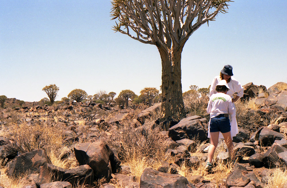 5kokerboom forest