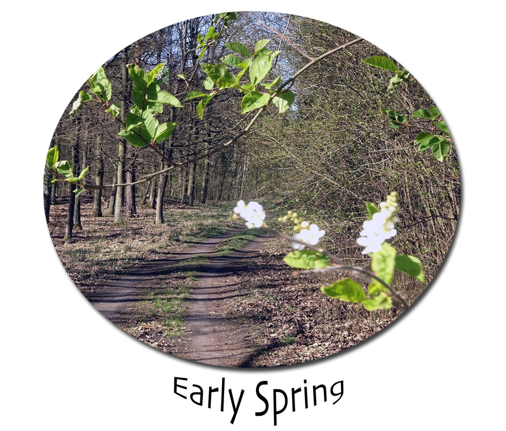 EARLY SPRINGCOM