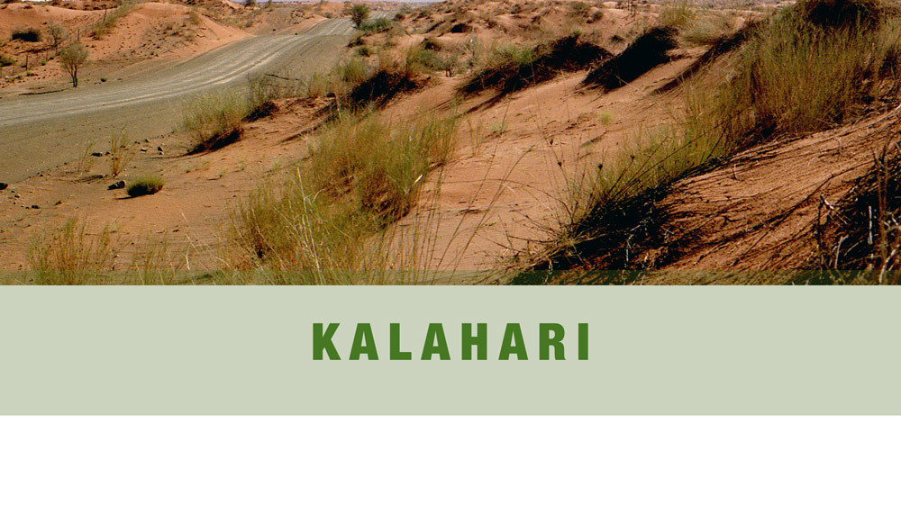 KALAHARI 1 cut 2 com