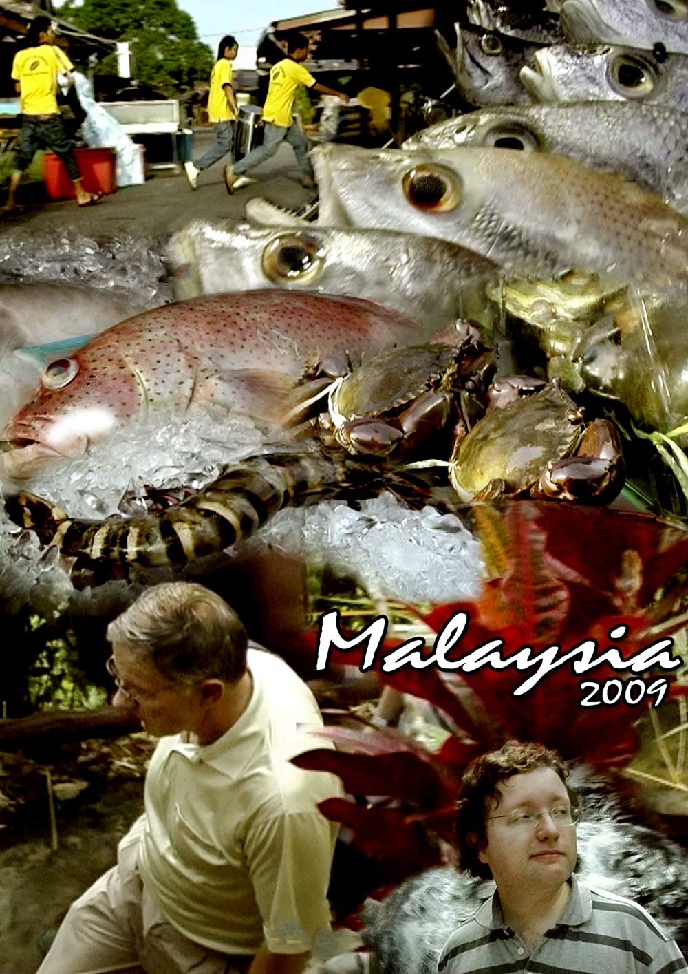 MALAYSIA FISH FILM com