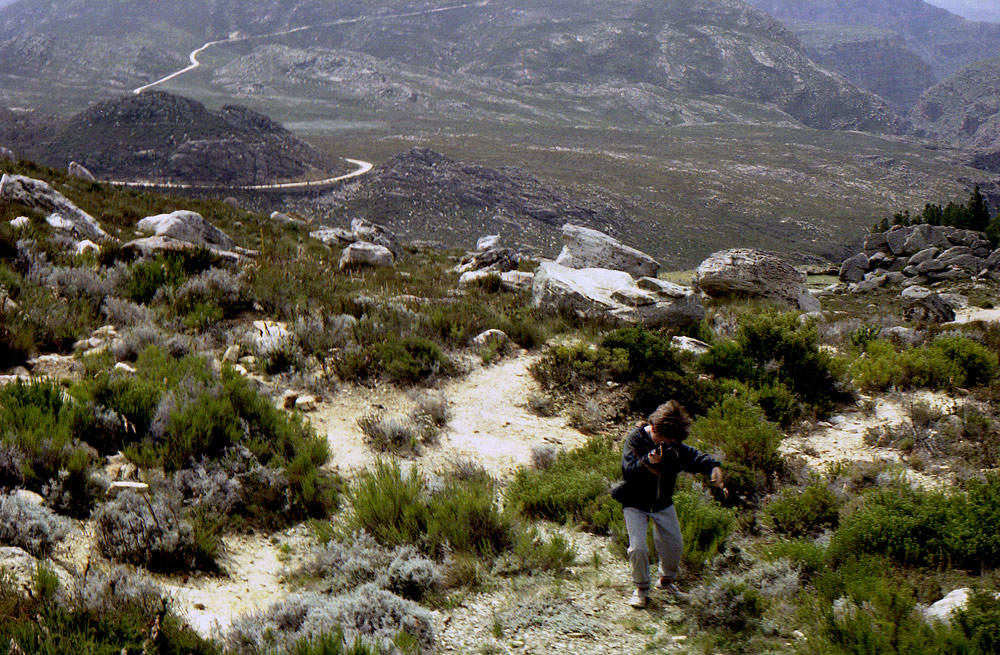 Swartberg Nature4