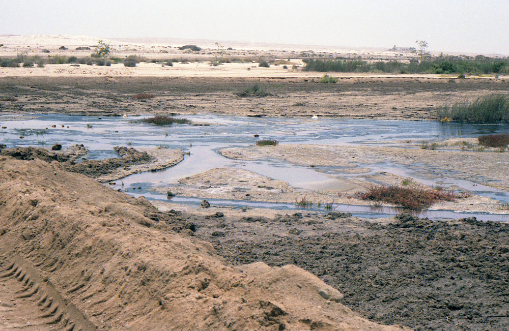 WALVIS BAY3COM