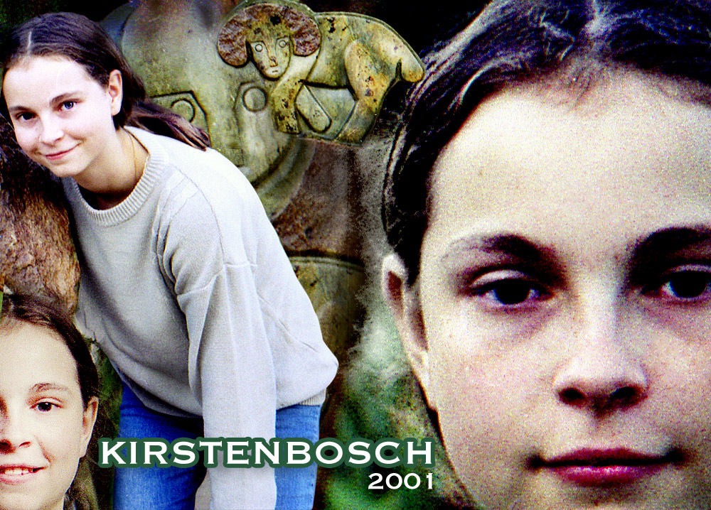 kirstenbosch logocom