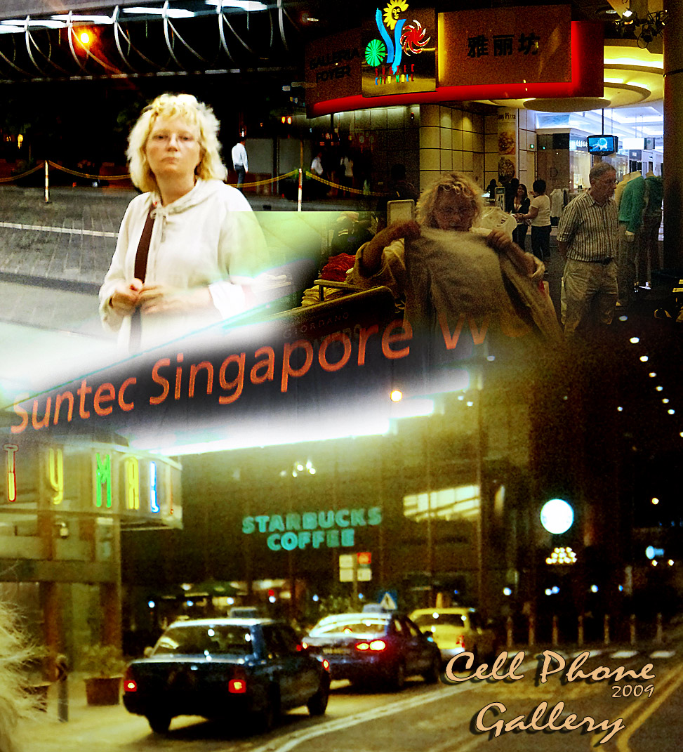 singapur 2009 cell 